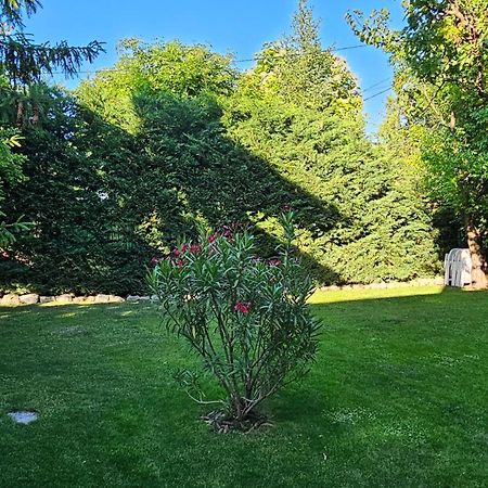 Fuered Deluxe Garden Apartment بالاتونفوريد المظهر الخارجي الصورة