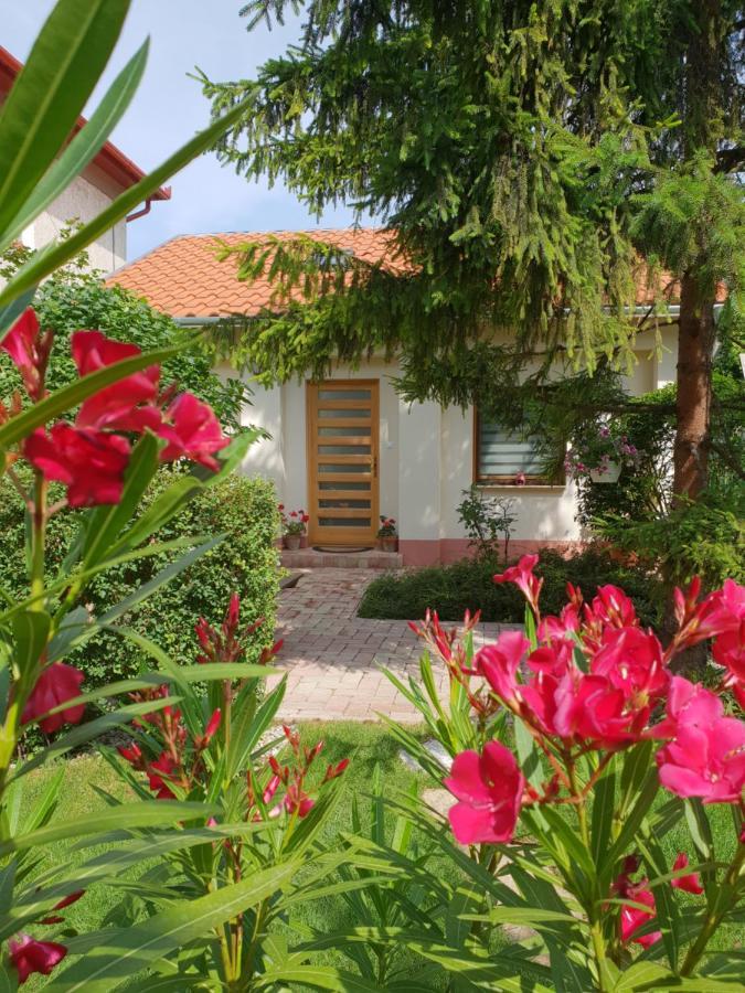 Fuered Deluxe Garden Apartment بالاتونفوريد المظهر الخارجي الصورة