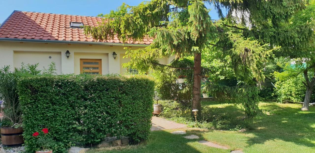 Fuered Deluxe Garden Apartment بالاتونفوريد المظهر الخارجي الصورة