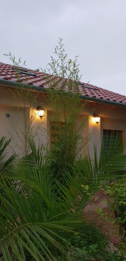 Fuered Deluxe Garden Apartment بالاتونفوريد المظهر الخارجي الصورة