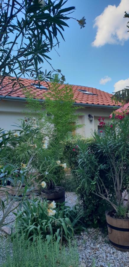 Fuered Deluxe Garden Apartment بالاتونفوريد المظهر الخارجي الصورة